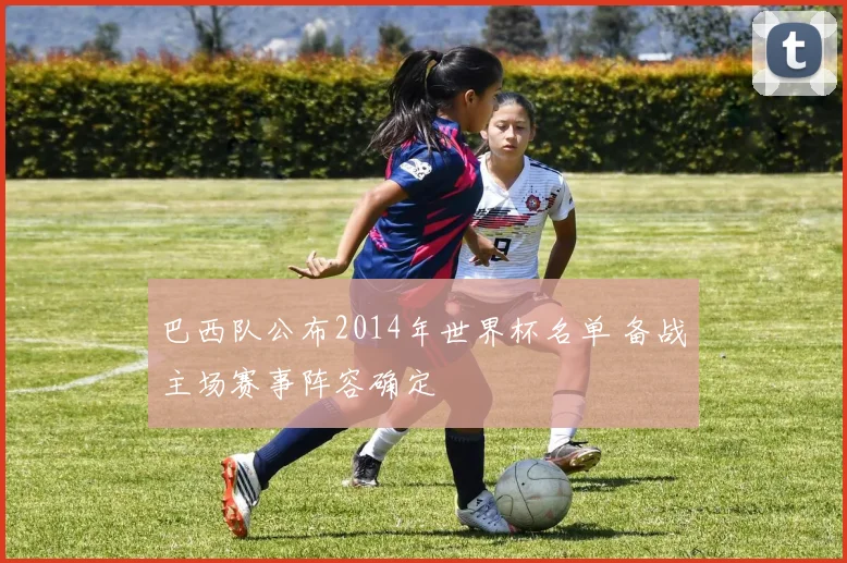 巴西队公布2014年世界杯名单 备战主场赛事阵容确定