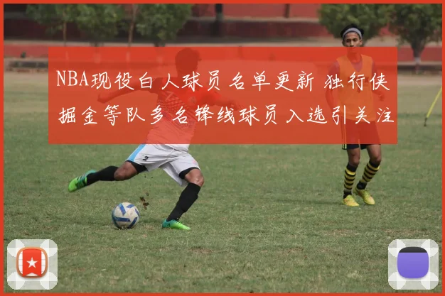 NBA现役白人球员名单更新 独行侠掘金等队多名锋线球员入选引关注