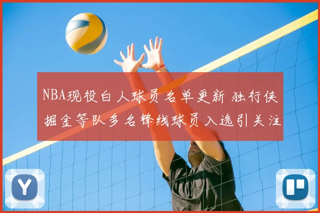 NBA现役白人球员名单更新 独行侠掘金等队多名锋线球员入选引关注