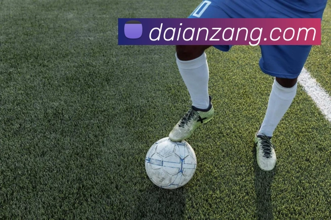 世界杯app官网发展历程